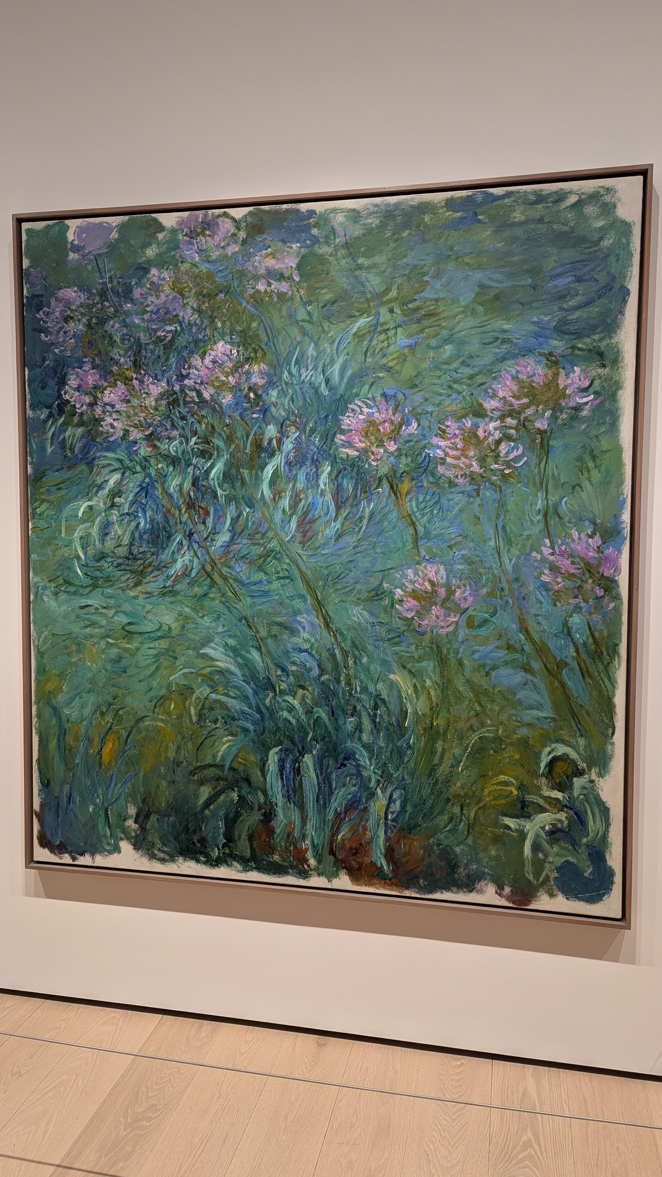 moma monet